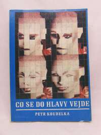 Koudelka, Petr, Co se do hlavy vejde, 1991
