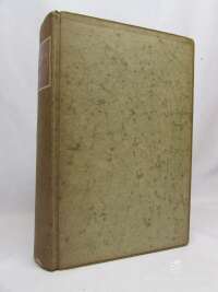 Schneider, Manfred, Don Francisco de Goya: Život mezi zápisníky s býky a krály, 1941