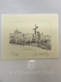 Vašáková, Dagmar, Kalvárie na Karlově mostě, 0