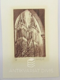 Vašáková, Dagmar, Věže katedrály sv. Víta, 0