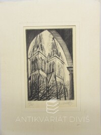 Vašáková, Dagmar, Věže katedrály sv. Víta, 0