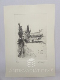 Vašáková, Dagmar, Prašná brána z Karlova mostu, 0