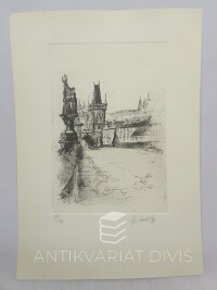 Vašáková, Dagmar, Prašná brána z Karlova mostu, 0