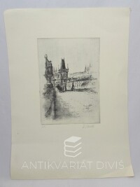 Vašáková, Dagmar, Prašná brána z Karlova mostu, 0