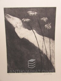 Vašáková, Dagmar, Okamžik čekání, 0