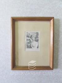 Mráček, Jan, Bez názvu (Podle detailu leptu Maxe Švabinského), 0