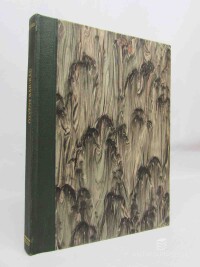 kolektiv, autorů, Ozvěny barikád: 25 básní z revolučních dnů, 1945