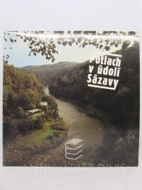 kolektiv, autorů, Potlach v údolí Sázavy, 1991