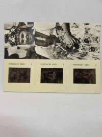 kolektiv, autorů, Popovický kroj , 1967
