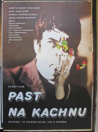 Chalabala, Petr, Past na kachnu, 1978
