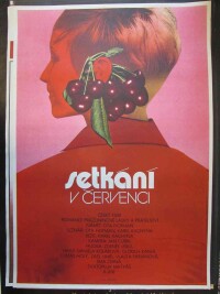 Vaca, Karel, Setkání v červenci, 1978