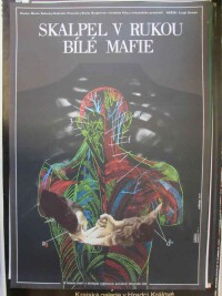 Heřmanská, Eva, Skalpel v rukou bílé mafie, 1977