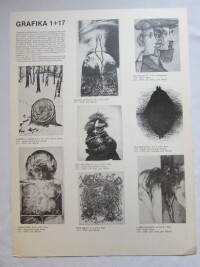 kolektiv, autorů, Grafika 1+17, 0
