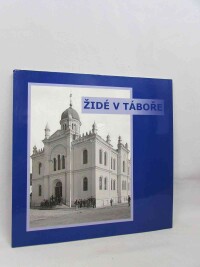 Jančíková, Hana, Židé v táboře: Zapomenutá historie židovské komunity, 2010
