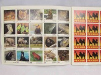 kolektiv, autorů, Pexeso Zvířata v zoologické zahradě, 0