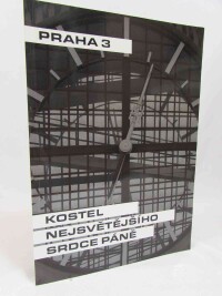 Schlaichertová, Dana, Praha 3: Kostel Nejsvětějšího srdce Páně, 2011