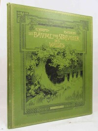 Hempel, Gustav, Wilhelm, Karl, Die Bäume und Sträucher des Waldes in Botanischer und Forstwirthschaftlicher Beziehung, II. Abtheilung: Die Laubhölzer, Erster Theil: Die Kätzchenträger, 0