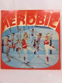 kolektiv, autorů, Aerobic - Kondiční gymnastika, 1984