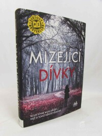 Reganová, Lisa, Mizející dívky, 2020