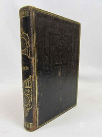 Münster, Renatus, Maria die Gottes-Mutter und Himmelskönigin, die Mutter voll der Gnaden, 1848
