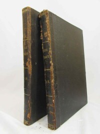 Borový, Clemens, Libri Erectionum Archidioecesis Pragensis Saeculo XVI. et XV., Sumtibus Pragensis Doctorum Theologiae Collegii - Liber I.-IV. (Liber I: 1358-1376, Liber II: 1375 -1388, Liber III: 1385-1390, Liber IV: 1390-1397), 1875