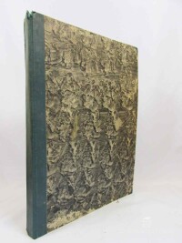 kolektiv, autorů, Neděle, ročník X. 1-52, 1935