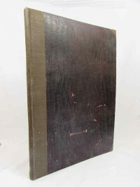 kolektiv, autorů, Slavnostní jas X. všesokolského sletu v Praze 1938, čísla I, II, III, IV, 1938