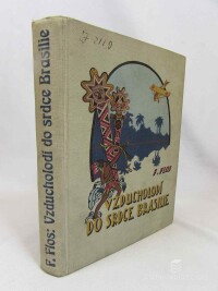 Flos, František, Vzducholodí do srdce Brasilie, 1929