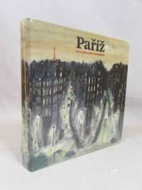 Šmíd, Jan, Paříž: Co v průvodci nenajdete, 2017