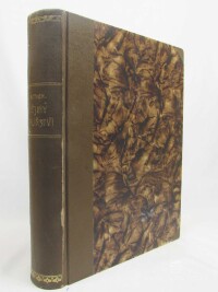 Muther, Richard, Dějiny malířství 1, 1910