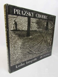 Všetečka, Jiří, Pražský chodec, 1985