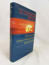 Moody, Raymond A., Život po životě, Úvahy o životě po životě, Světlo po životě, 1994