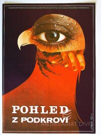 Dyrynk, Martin, Pohled z podkroví, 1970