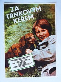 Foll, Dobroslav, Za trnkovým keřem , 1981