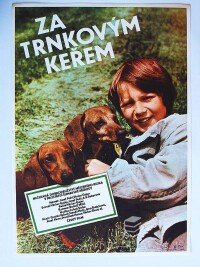 Foll, Dobroslav, Za trnkovým keřem , 1981