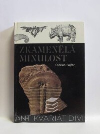 Fejfar, Oldřich, Zkamenělá minulost, 1989