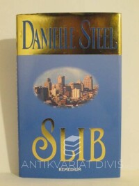 Steel, Danielle, Slib, 1998