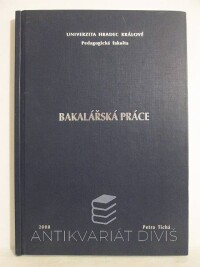 Tichá, Petra, Bakalářská práce: Sociální práce jako riziková profese (Rizika sociální práce v azylovém domě pro muže), 2008