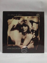 Zagorová, Hana, Co stalo se stalo, 1984