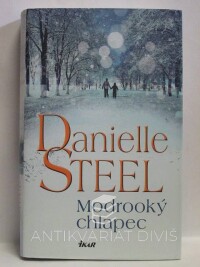 Steel, Danielle, Modrooký chlapec, 2017