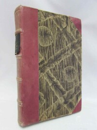 Rádl, Emanuel, Dějiny vývojových theorií v biologii XIX. Století, 1909
