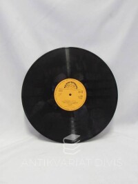 kolektiv, autorů, GRAMODESKA KUSOVÁ BEZ OBALU LP, 0