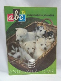 kolektiv, autorů, ABC mladých techniků a přírodovědců ročník 33, číslo 13, 1989