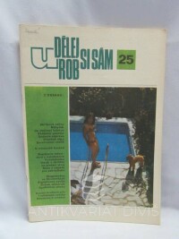 kolektiv, autorů, Udělej - urob si sám 25, 1978