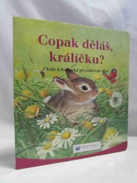 kolektiv, autorů, Copak děláš králíčku? Úkoly a hádanky pro šikovné děti, 2003