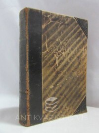 Masaryk, Tomáš Garrigue, Světová revoluce za války a ve válce 1914-1918, 1925