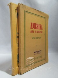 Pelant, Karel, Amerika jaká je vskutku I-II, 1919