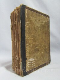 Verne, Jules, Hvězda jihu (V zemi diamantů), 1913