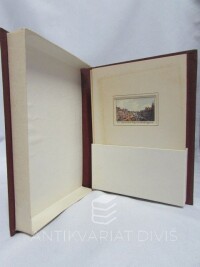 Morstadt, Vincenc, Praha 1830: Miniaturní pohledy, 0