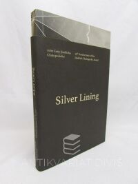 kolektiv, autorů, Silver Lining - 25. výročí Ceny Jindřicha Chalupeckého / 25th Anniversary of the Jindřich Chalupecký Award, 2015